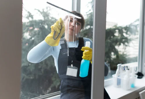 Nettoyage de vitres intérieures et extérieures à Neffiès